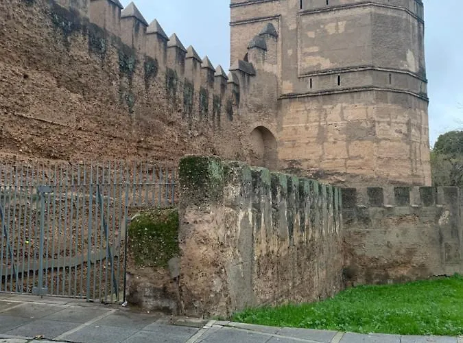 Piso Muralla Macarena *
